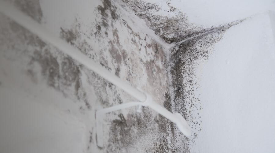 Why choose water damage restoration service for commercial flood cleanup in Franklin